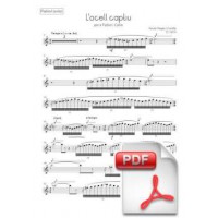 Pagès-Corella: The Captive Bird for Flabiol and Cobla (Solo Flabiol Part) [PDF]